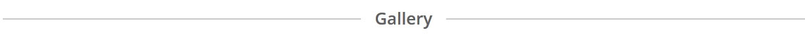 gallery gallery